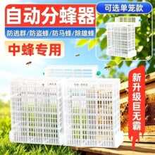 多功能自动分蜂器中蜂专用蜂王防逃框中意蜜蜂箱实用巢门防盗蜂器