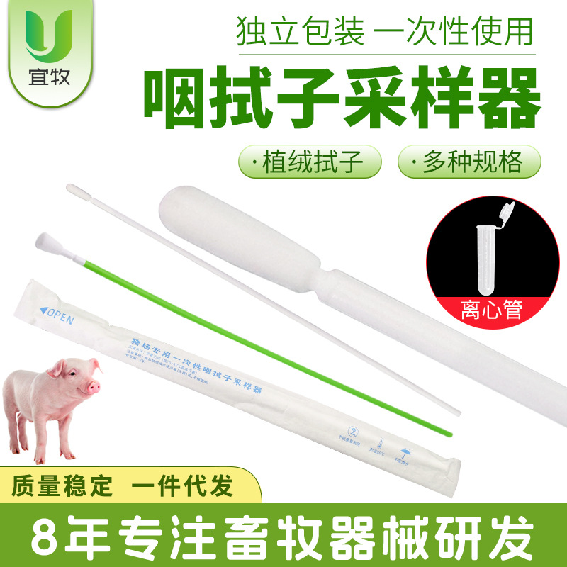 猪咽拭子猪场专用一次性咽试子采样器猪用一次性植绒咽拭子采样器