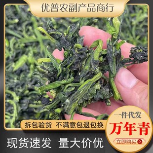 ���l��؛�r���Օ��f���໨�˸���˸����Ӹɲ�Óˮ�߲�500g���]