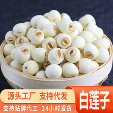 Դ^һlɏϸ؛ȥо؛ɏӸ؛ؼoҰɏ