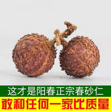 ꖴ�ɰ�ʏV�|��ɰ�ʸɹ�ꖴ��خaɰ���Ҝ����ⴺɳ��ɰ��50g/500g