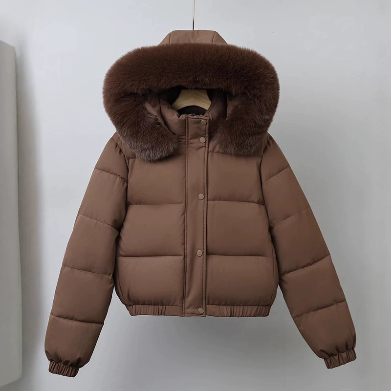 New Winter Korean-Style Thick Hooded Jacket with Large Fur Collar for Women, Student Cotton-Padded Jacket, Hong Kong Style down Cotton Coat