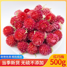 红巧梅500g天然红巧梅花茶干花瓣花茶另售千日红玫瑰茉莉花
