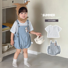 2026�Ŀ�냺�l�yT����ƨ����ѝ���b�Ќ�����ͨ�B�w�±��������