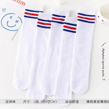 ���ļ���ͯ�LͲ�m���s��Ůͯ�����m���܌W���m�\���mС���m���l
