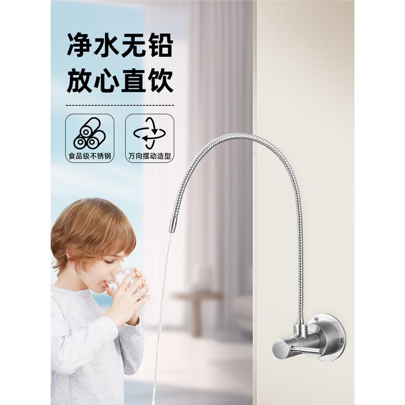 Water Purifier Faucet Special 2-Point 3-Point Kitchen Universal Wall-Mounted Wall-Mounted Faucet Direct Drinking Water Stainless Steel
