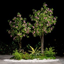 ����ֲ�����쾰�M���҃��̈�������ֲ���b��̨���P�Gֲ��ؔ[�O