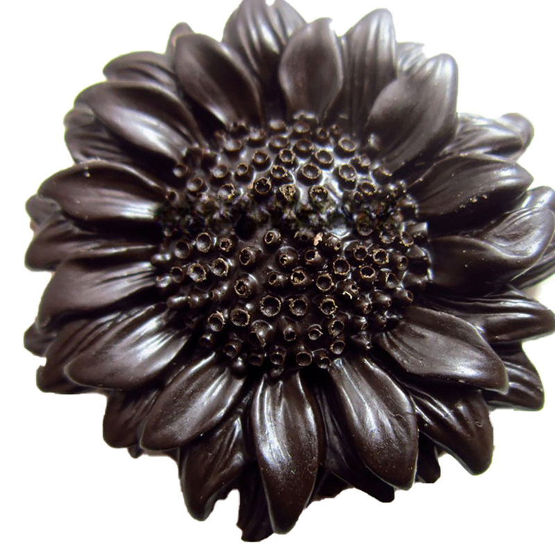 Reprehenderit qui in ea