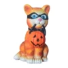 Halloween pumpkin cat