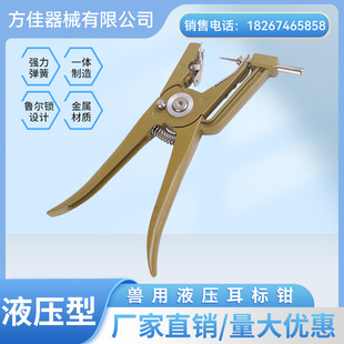 FJ���ѫF��Һ�������Q�iţ���ö����Q����Q�i���Bֳ��