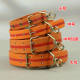 Spot Wholesale Factory Direct Sales Telescopic Collar Multi-Specification Dog Collar Large, Medium and Small Size Dogs Native Dog Collar Dog Collar