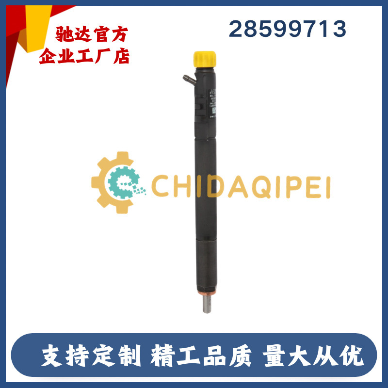 28599713 Fuel Injector Delphi 1100100Xed95 Fuel Injector Great Wall Poer Great Wall Wingle 28599713 Fuel Injector Delphi 1100100Xed95 Fuel Injector Great Wall Poer Great Wall Wingle