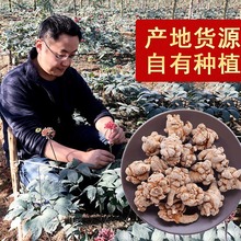 �������l�����ɽ����20�^30�^40�^60�^�������߷� ����