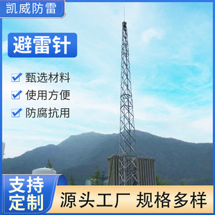 GFL Series Lightning Rod 20 m Lightning Rod Tower GFL1-4 Steel Structure Flash Tower Production Sales Installation