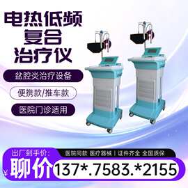 低频脉冲治疗仪/盆腔炎治疗仪厂家/盆底肌产后综合治疗仪器509