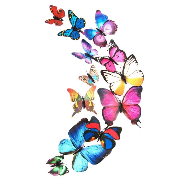 Three dimensional decorations on wall with butterfly, cloth, fridge magnet, set for living room, in 3d format, 12 items