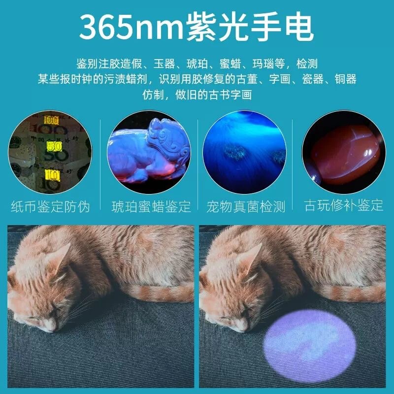 紫色光紙幣検出ランプ uv365 蛍光剤検出猫苔ランプ野菜検出ランプ充電式懐中電灯小型|undefined