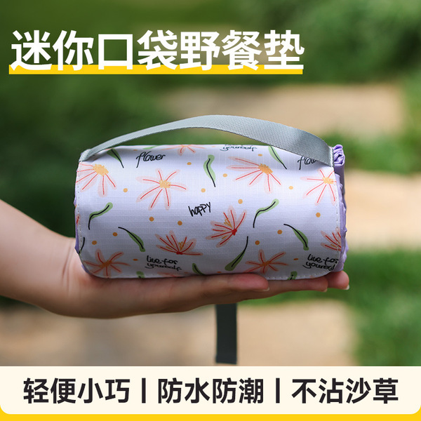 Handheld light and thin beach carpet for traveling for camping