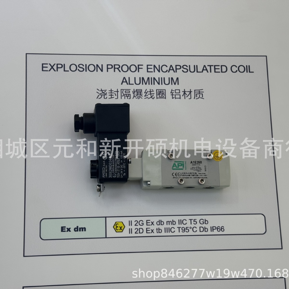 意大利API电磁阀 21TG2KR0V40 DN4.0 BDA