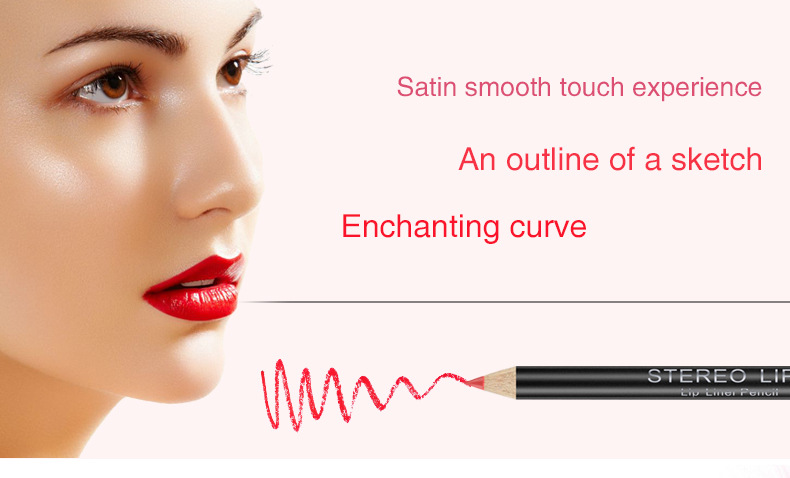VIBELY European and American export matte non-stick cup lip liner lipstick 12-color line lip liner makeup cross-border wholesale details Picture