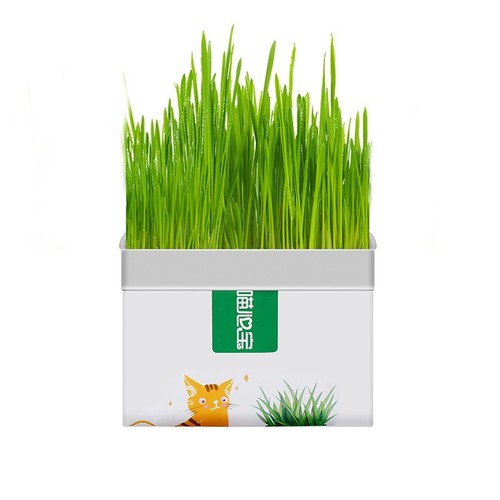 Wholesale cat grass, wheat seeds, hydroponic boxes, potted plants, ready-to-eat hair removal tablets, catnip snacks, cat supplies