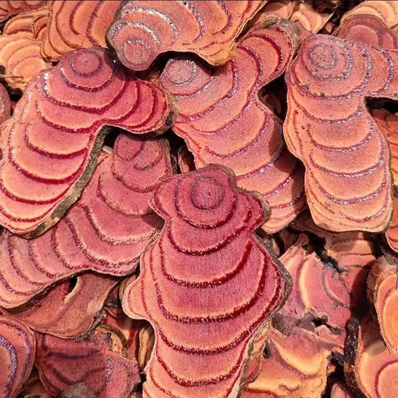 Ji Xue Teng Dried Spatholobus Suberectus Vine Slices Chinese Herb for Decoction Soup and Wine Soaking key features