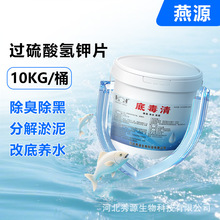 Դ׶^⛵׸Ƭˮ~صֽ℩