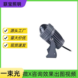 A beam of light spotlight led spotlight waterproof exterior wall remote spotlight wall washing lamp outdoor projection lamp 10W super bright