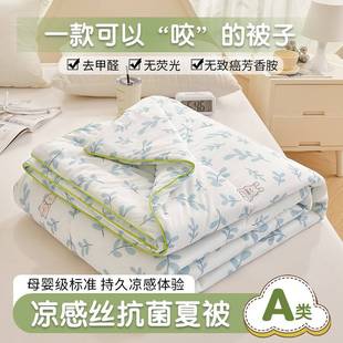 2025 New Class a Spandex Cool Silk Watermelon Antibacterial Summer Quilt-Printed