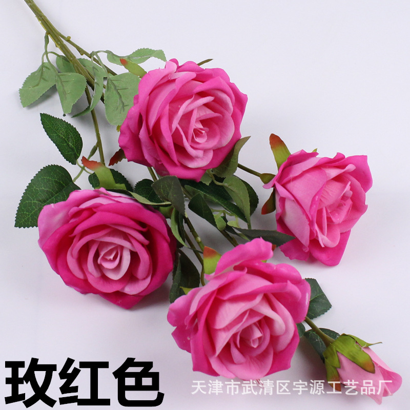 img_8064_副本_副本.jpg