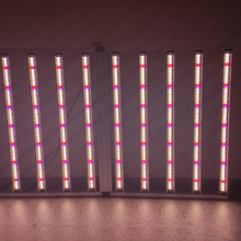 1000WֲLȫVҴ߲aNֲÿ{