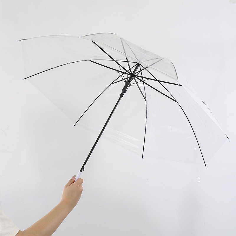 Reinforced fashion transparent umbrella 8 bone unisex long handle umbrella semi-automatic creative small fresh umbrella wholesale
