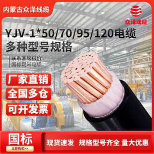 ������|�~о��| ��о�����~����|�� YJV-1*50/70/95ƽ�� 1�׃r
