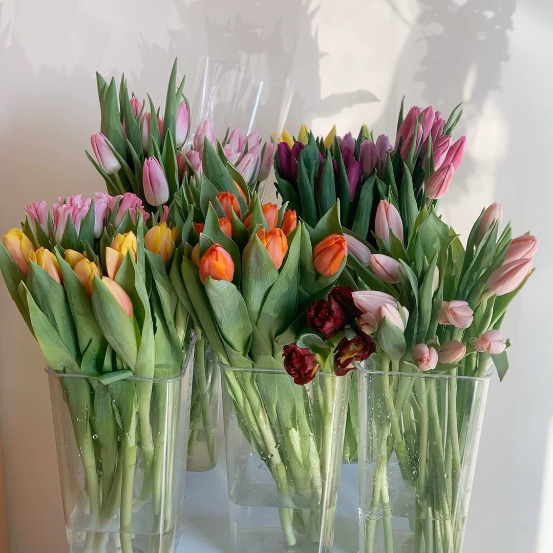 Цветочное ведро Цветочный магазин Цветочная трубка Пластиковое ведро для пробуждения Французский Кристалл Квадратное цветочное ведро Прозрачное интернет Знаменитость рекомендую