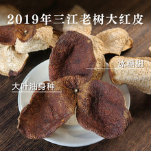 五年广东新会陈皮 2019年三江吕深冰糖甜老树圈枝冬后大红老陈皮