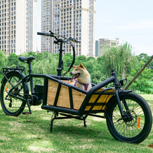 外貿定制成人電瓶車電動車兩輪載物電動自行車雙人助力休閑代步車
