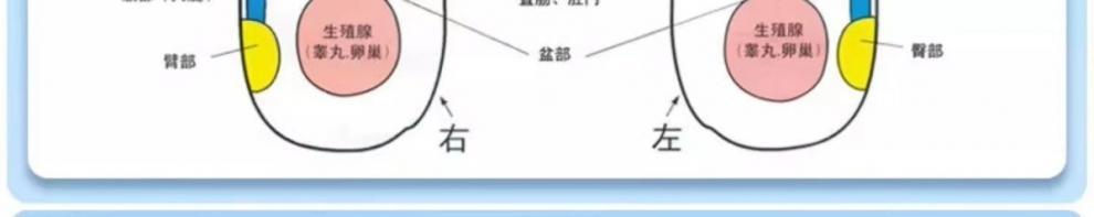 8fb98470-96b8-47a0-8d8e-f927ebb13237.jpe