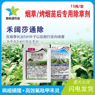 ���ݿ������݄������ �^��+��Ч�����׺��` �����ɯ�s��