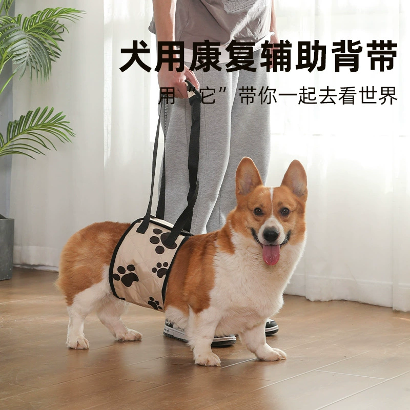 Трансграничный подъемный пояс для собак с домашними животными Собака с ограниченными возможностями Пояс для помощи собаке с задней ногой Пояс для инвалидов