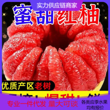 【活动款】正宗红心柚蜜柚新鲜柚子当季时令对接电商直播产地直发