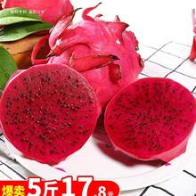 海南金都一号红心火龙果5斤整箱大果新鲜应当季红肉密宝水果包邮3