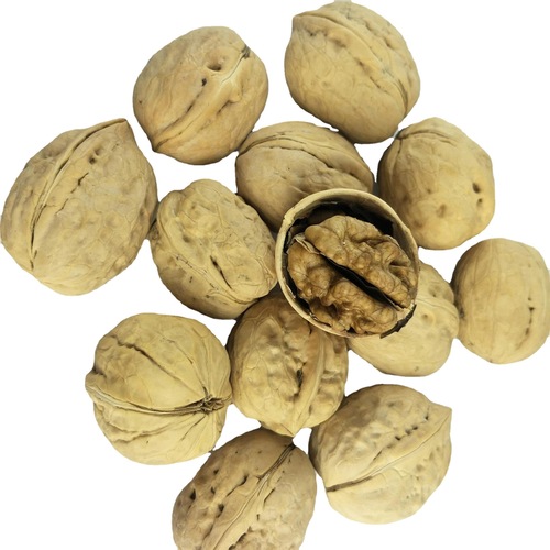 Xinjiang 185 Paper-Peach Walnut Wholesale Distribution 500g Aksu Specialty Hand-Picked Walnut Nut Thin Skin Raw Walnut