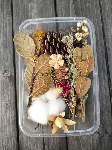 Christmas Mixed Dried Flower Box DIY Handmade Real Dried Ball Perennial Flowers Multicolor Set Activity Material Pack Flower Ring