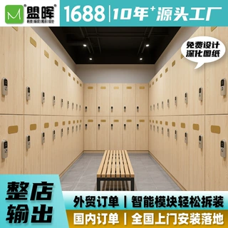现代健身房会所更衣储物柜定制防潮耐磨分层设计快速拆装工厂定制