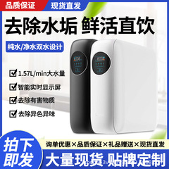 浄水器家庭用キッチン水道水RO逆浸透大流量英語欧州プラグ純水機家庭用ストレート