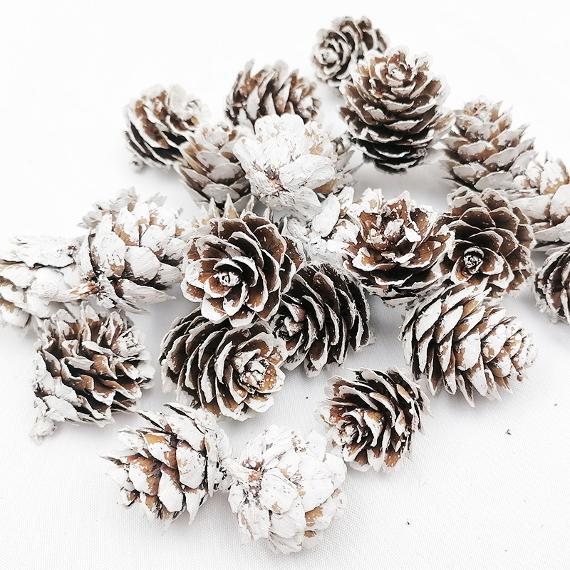 Mini Songhua 1.5-4cm Christmas Decorations Pinecone DIY Decorative Material Larch Creative Ornaments Dried Flowers Mini Songhua 1.5-4cm Christmas Decorations Pinecone DIY Decorative Material Larch Creative Ornaments Dried Flowers