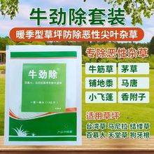 除牛筋草茅草铺地黍烂根不伤草坪马尼拉百慕大除香附子马唐杂草