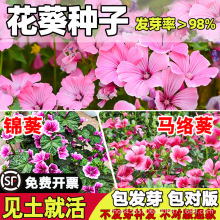 �\���N�ӻ���һ�ɼt�����ļ��׷NͥԺ�̨���Ԉ@�־��^�G�����N��