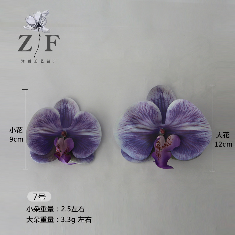 7호(대)