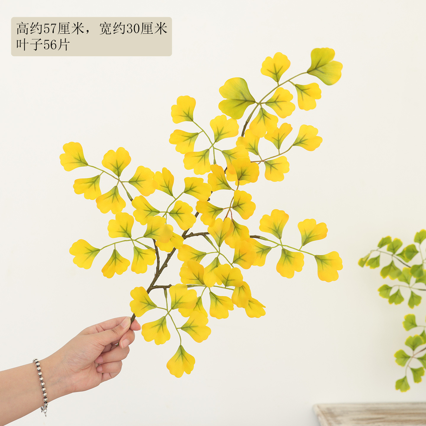 ラミネート加工されたカラフルな葉、イチョウの緑の芯、黄色の枝 1 本
